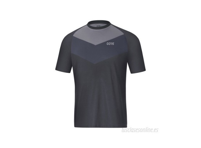 Maillot à manches courtes Gore Wear C5 Trail gris