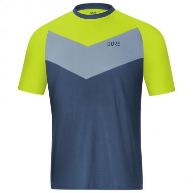 Maillot à manches courtes Gore Wear C5 Trail gris