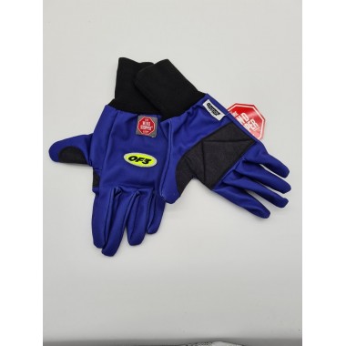 Gants GORE Wind stopper car 102