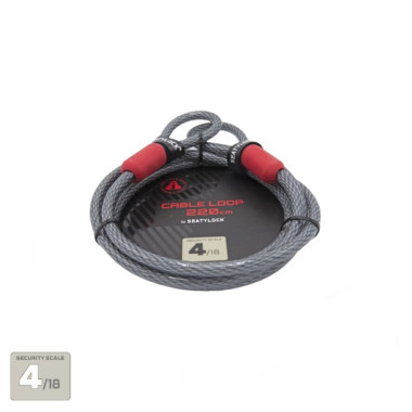 Boucle de câble 220 -...