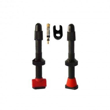 Valves Tubeless Carbone