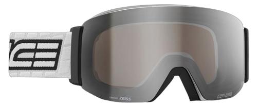 Ski Goggles